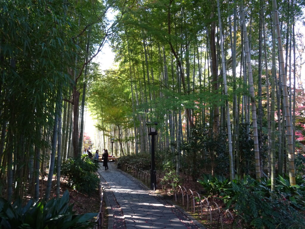竹林の小径
