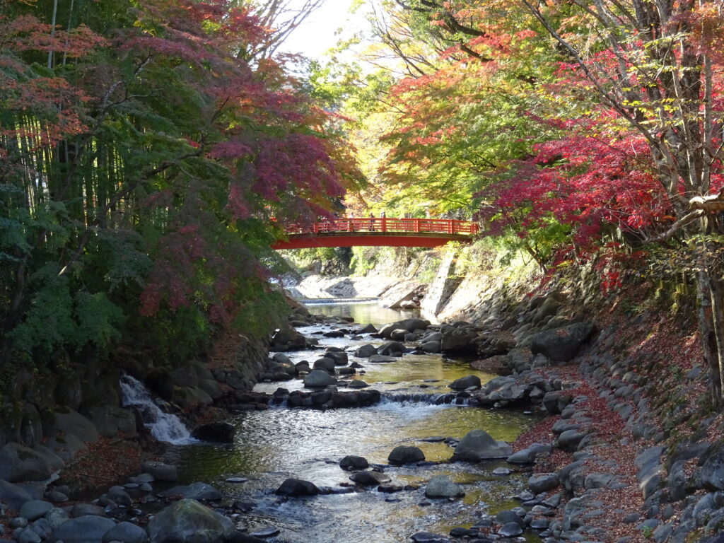 修善寺の桂川その1