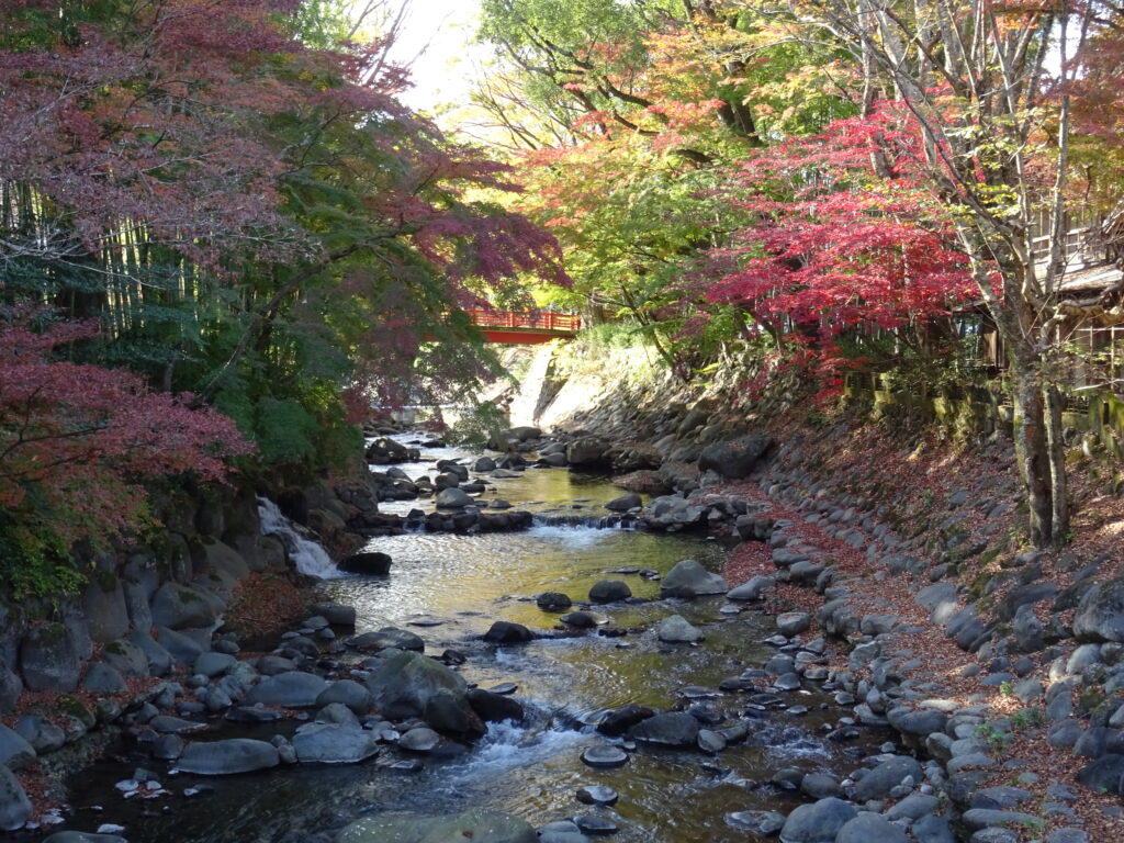 修善寺の桂川と紅葉
