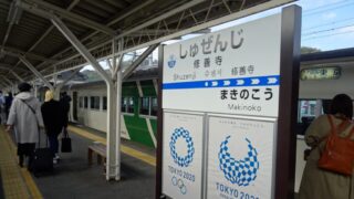 修善寺散策と修禅寺など御朱印巡りを楽しむマップとレビュー 