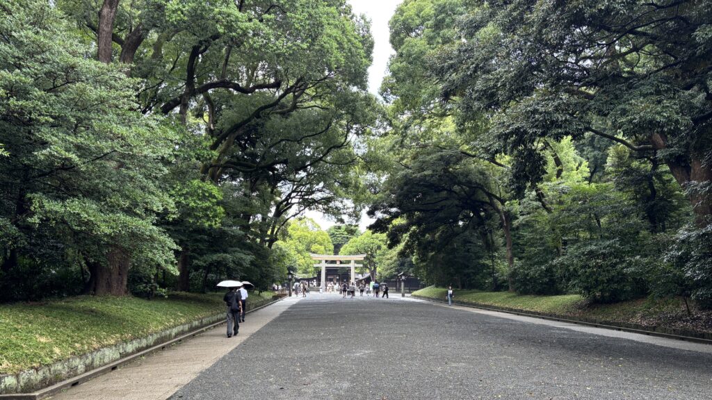 明治神宮の人工林