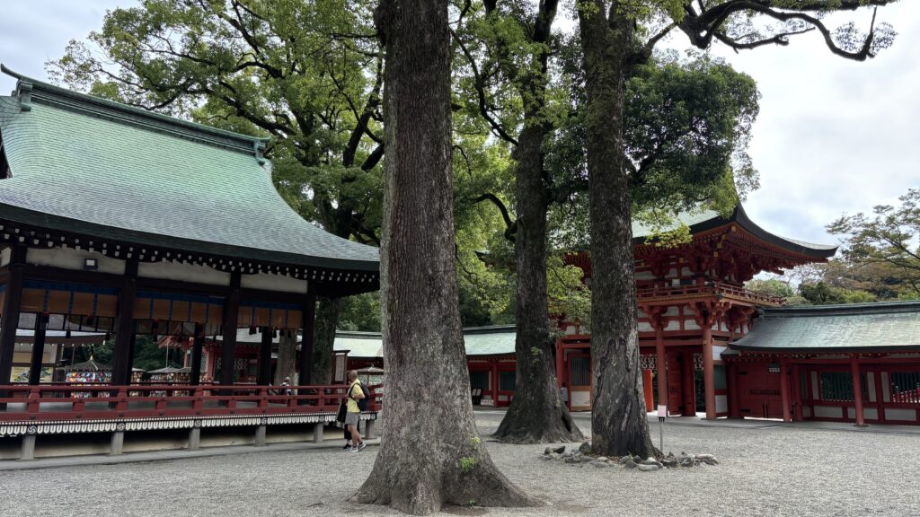 氷川神社境内その２