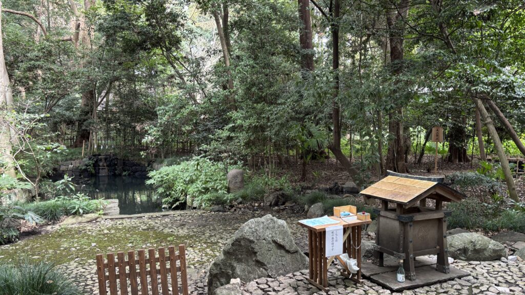 氷川神社の蛇の池