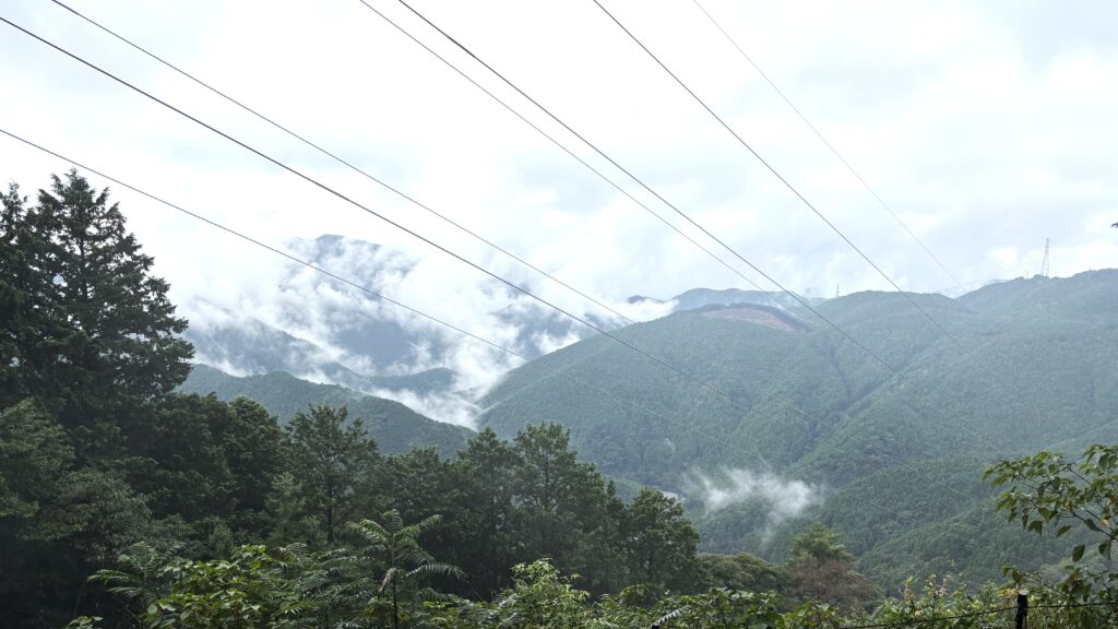秋葉山からの眺め