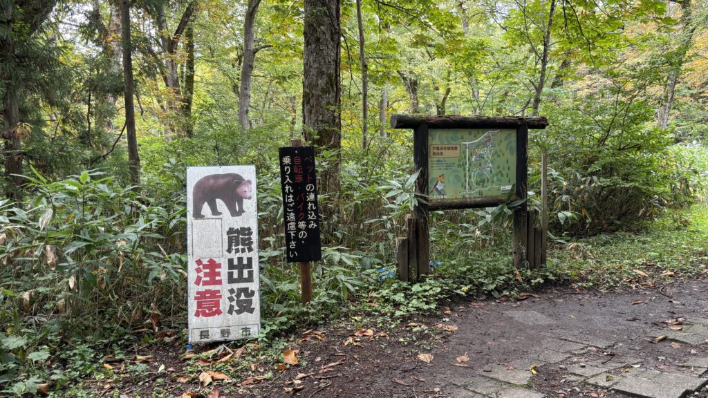 戸隠神社の熊出没注意