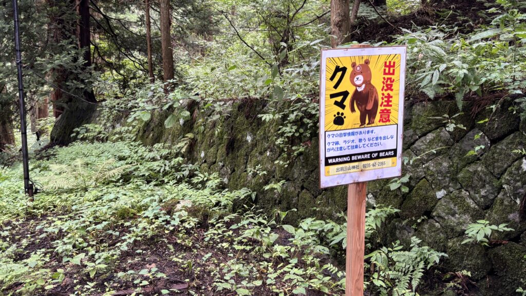 出羽三山の熊注意