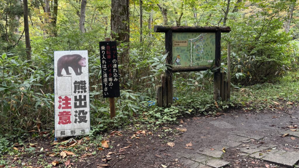 戸隠神社の熊情報