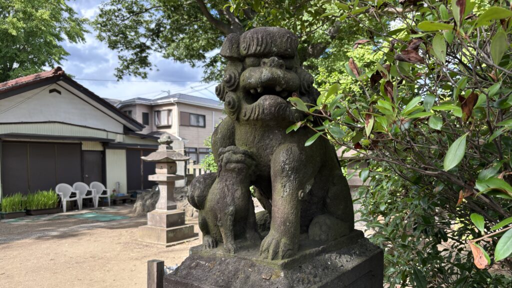 蘇我比咩神社の狛犬