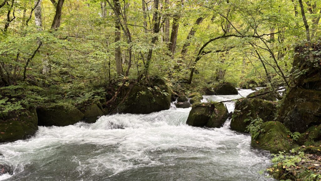奥入瀬渓流の阿修羅の流れ