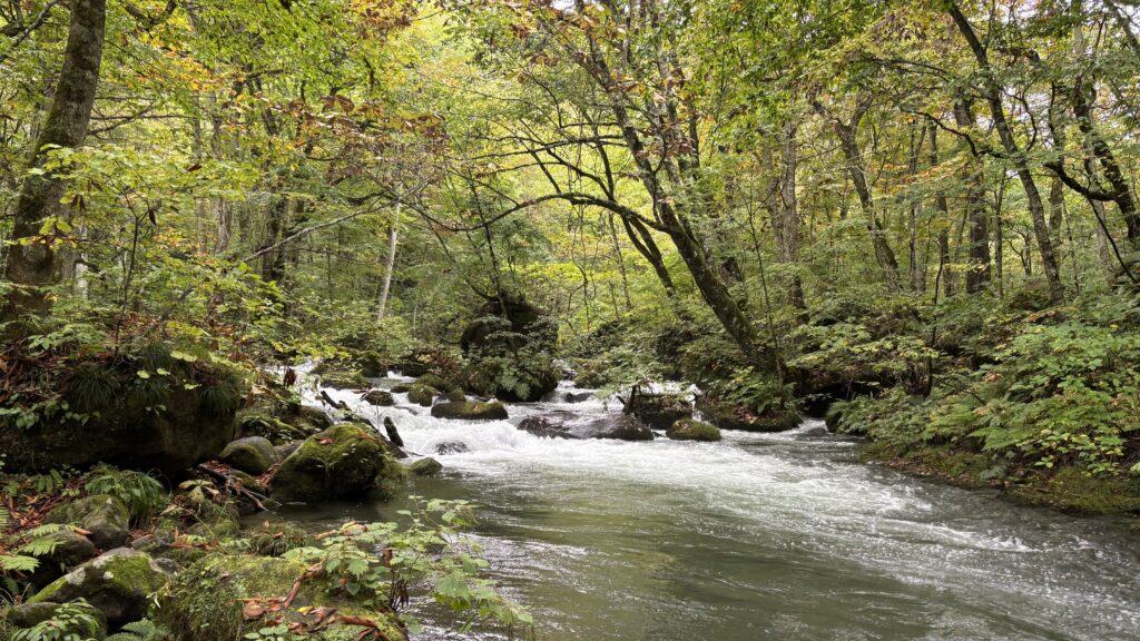 十和田神社の周辺観光・奥入瀬渓流のレビュー