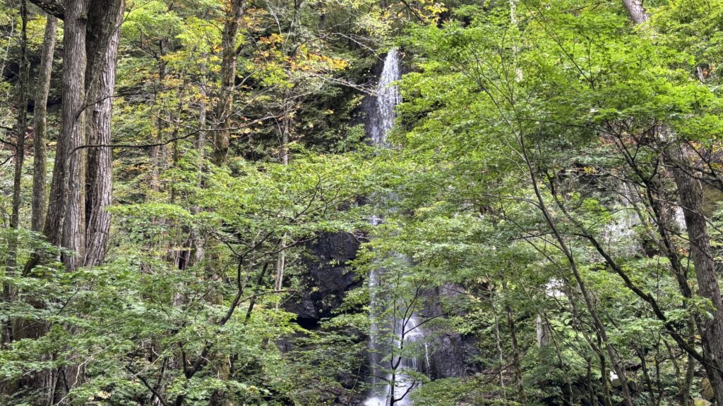 奥入瀬渓流の白糸の滝
