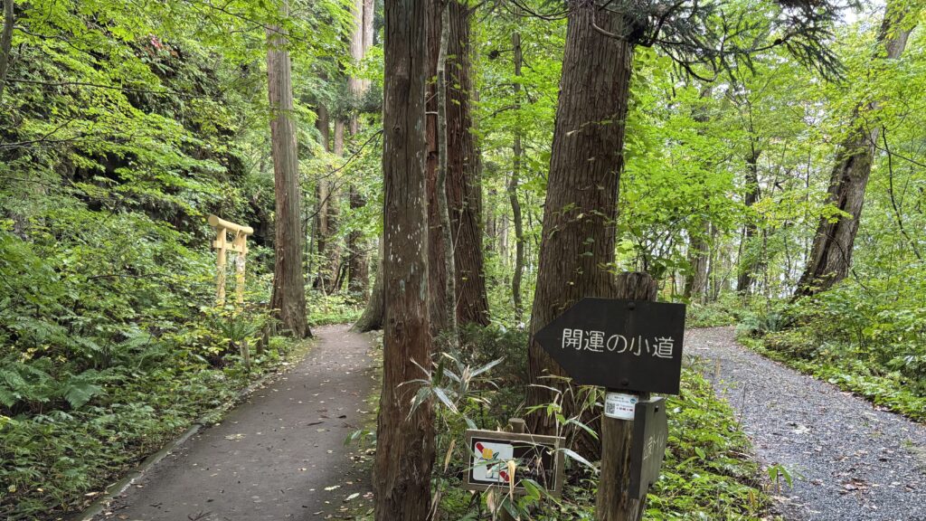 散策路「開運の小道」