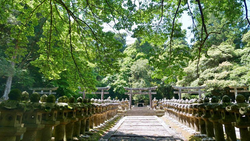 東光寺と大照院の他の見どころと御朱印情報