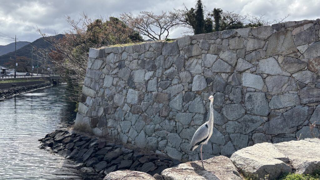 萩城跡の見どころと御城印・御朱印の情報
