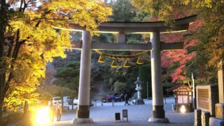 宝登山（寶登山）神社のご利益と御朱印！奥宮やアクセス情報を徹底解説 