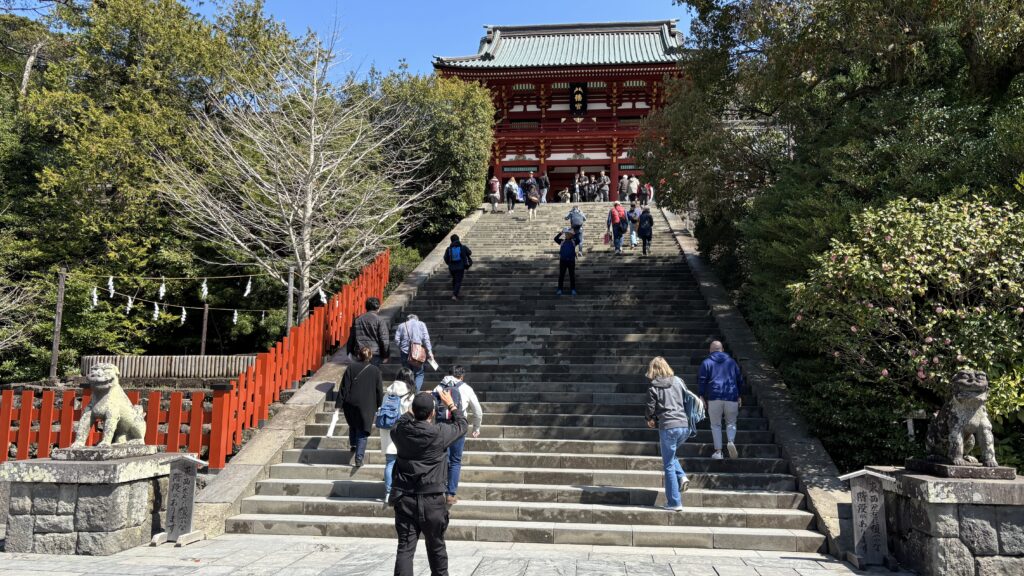 石段下から眺めた鶴岡八幡宮の随神門